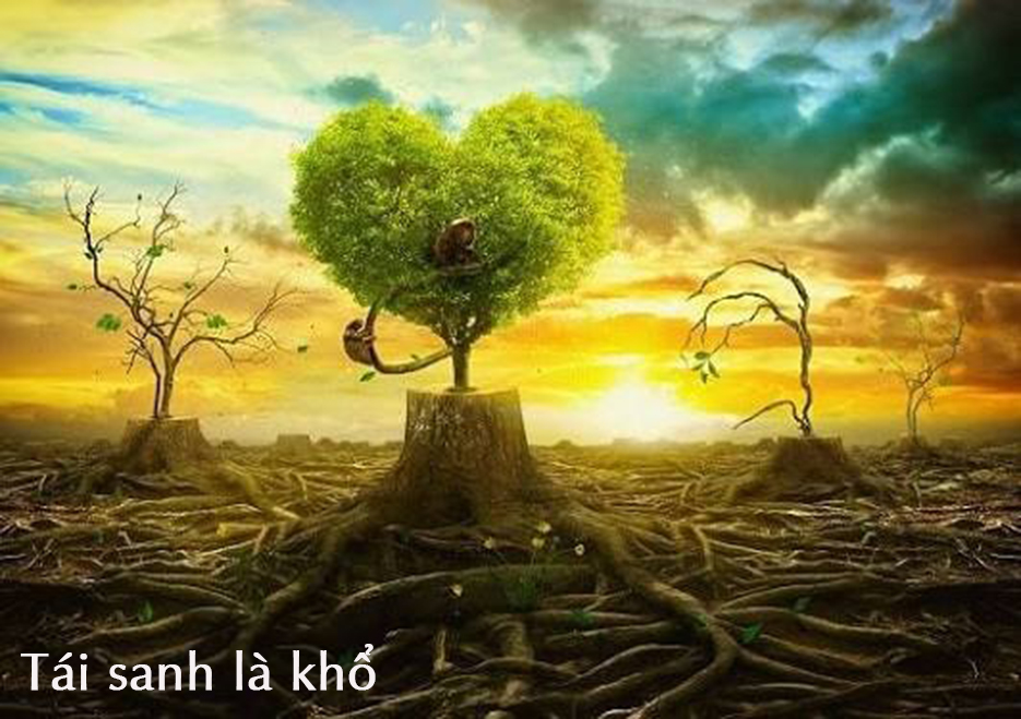 tai sanh la kho_tai sanh la gi_luan hoi tai sanh.jpg